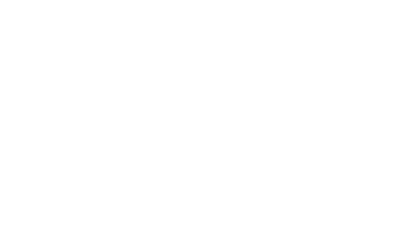Leapmotor